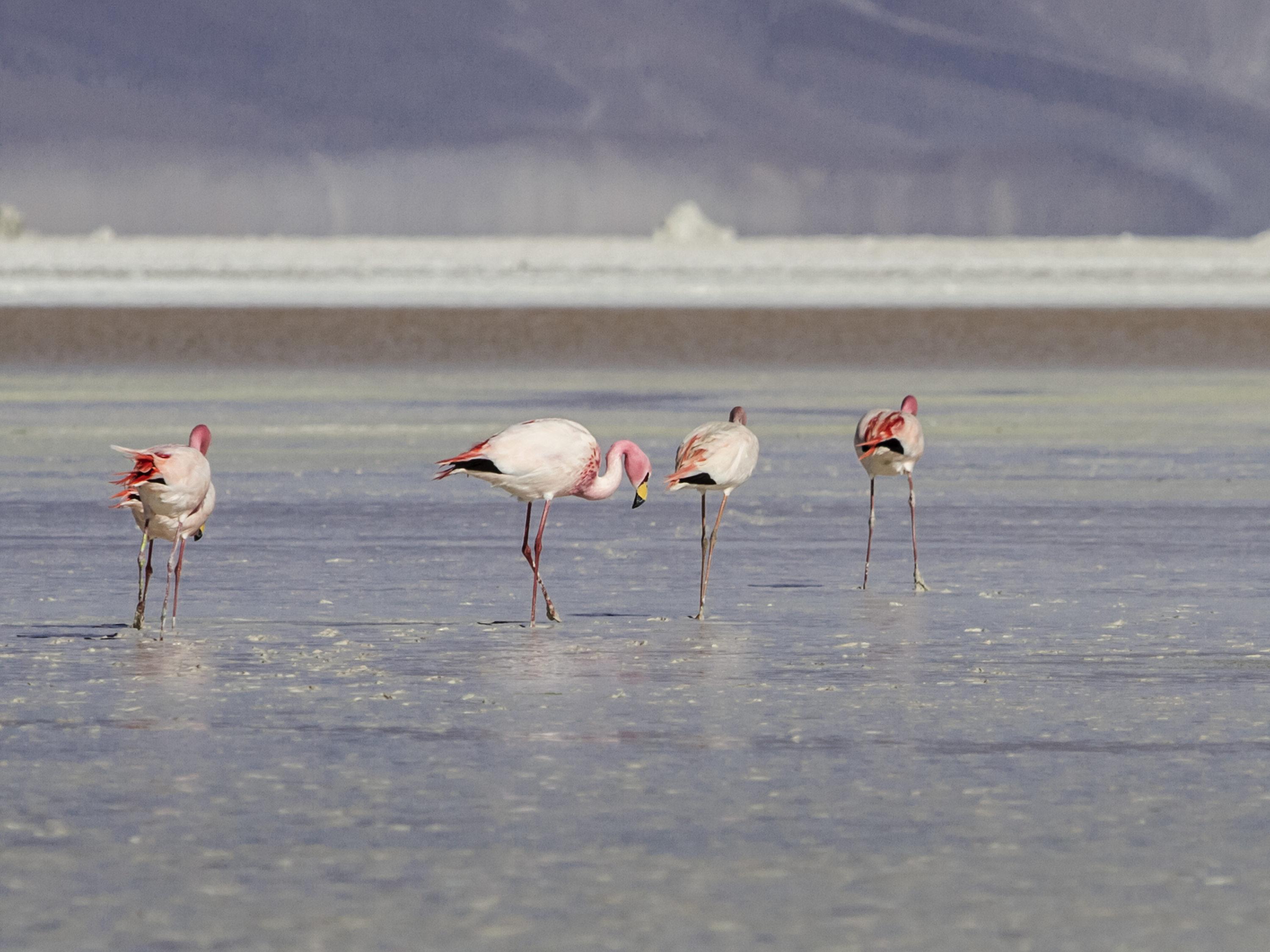 Ibis Калама Екстер'єр фото